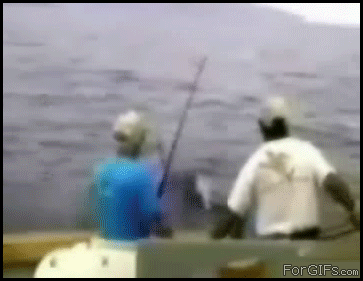 gif_02.gif