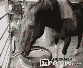 gif_06.gif