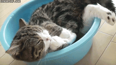 gif_07.gif