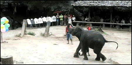 gif_02.gif