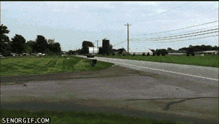 gif_01.gif