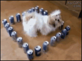 gif_03.gif