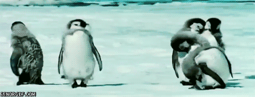 gif_01.gif