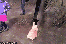 gif_05.gif