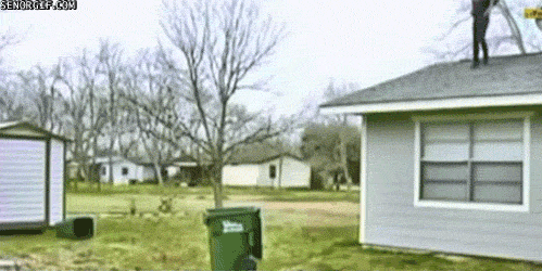 gif_04.gif