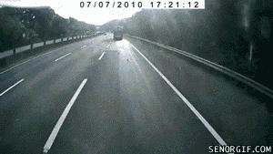 gif_07.gif
