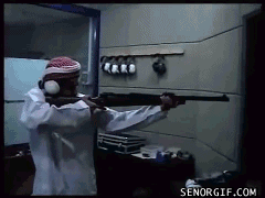 gif_05.gif