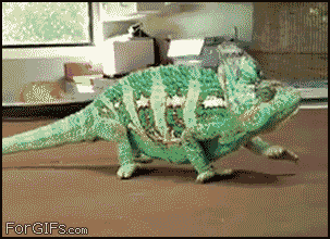 gif_02.gif