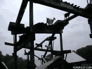 gif_07.gif