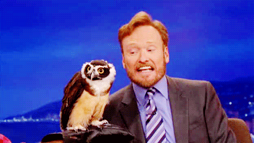 life_gifs_01.gif