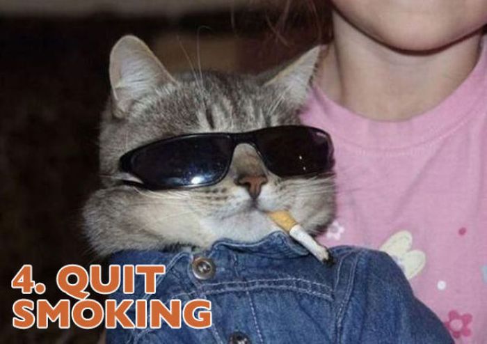 us.acidcow.com