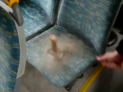 dirty_bus_seats.jpg