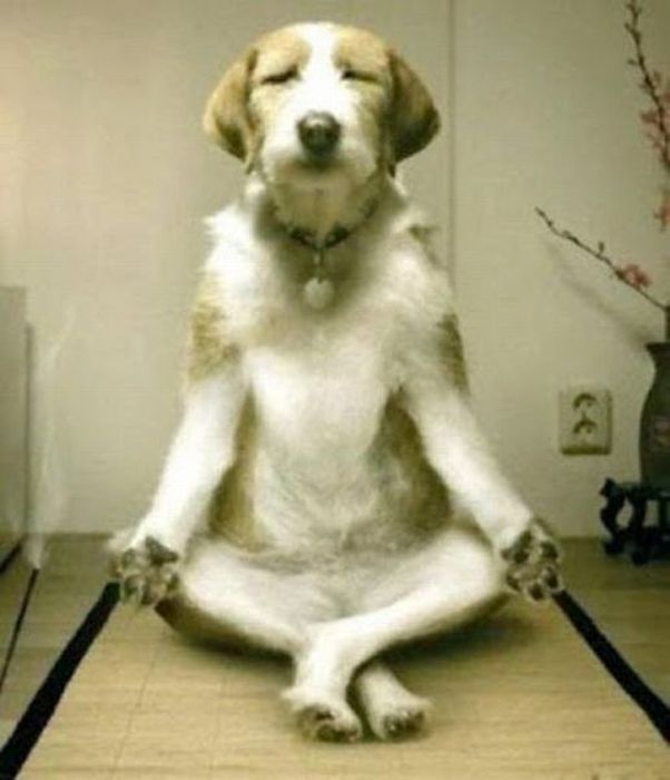 acid_picdump_34.jpg